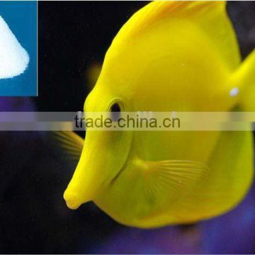 Fish farming system aquarium saltwater fish