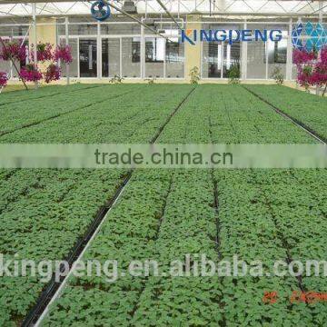 Vegetable Growing Greenhouse photo-3