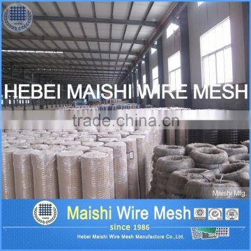 1/2" Sq Black PVC Coated Welded Wire Mesh photo-5