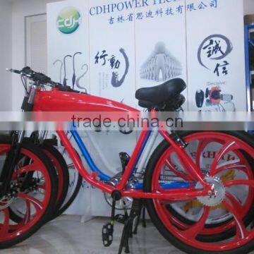 motorized bicycle / cheap motorized bicycle