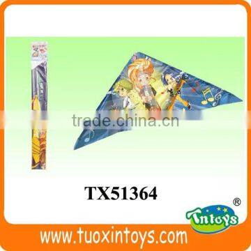 Custom China Butterfly Kite Sale photo-4