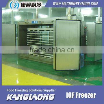 High Quality DSI Plate Freezer Made In China