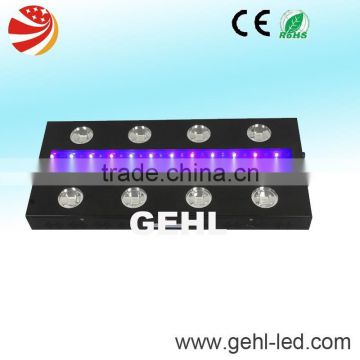 Full Spectrum LEDs Hydroponic Pro Led Grow Lightings for Greenhouse photo-2