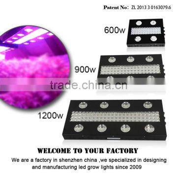 High Power Quality Hydroponics LED Grow Lighting COB Indoor Growing Light photo-3