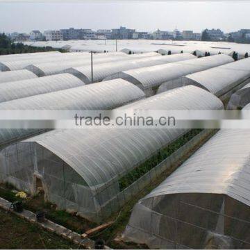 New Style Agricultural Greenhouse for Grawing Vegetables