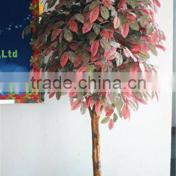 Home Garden Decoration 100cm to 1000cm Height Artificial Indoor Live Plastic Ficus Red With Green Palm Tree EZLS05 1002 photo-6