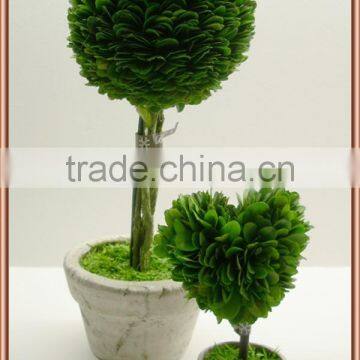 Green Preserved Boxwood Ball With White Potted photo-2