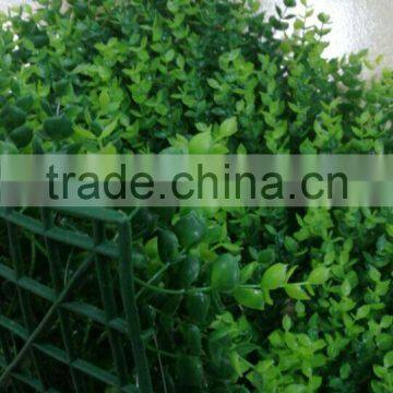 Artificial Boxwood Carpet Artificial Grass Carpet for Balcony photo-2