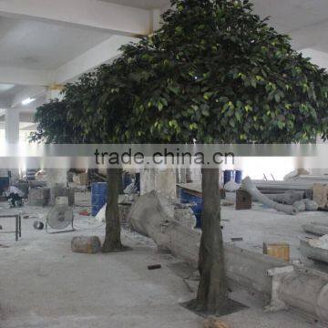 Hot sale artificial ficus tree in Factory price