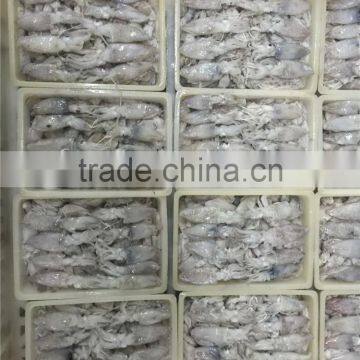 500g BQF Baby Squid photo-5