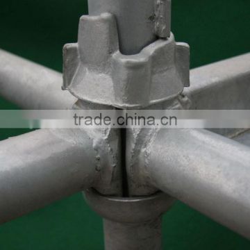 Galvanized Cuplock Scaffolding For Construction/Decoration/Bridge Building