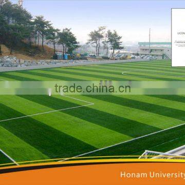 Artificial Grass Project in Asia