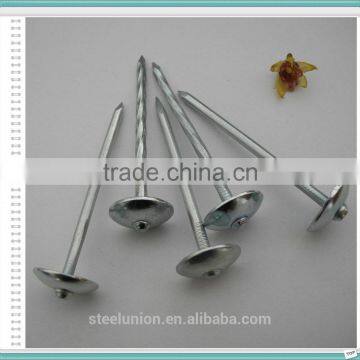 Roofing Nails Umbrella Head/Galvanized Roofing Nails Price/Roofing Nails