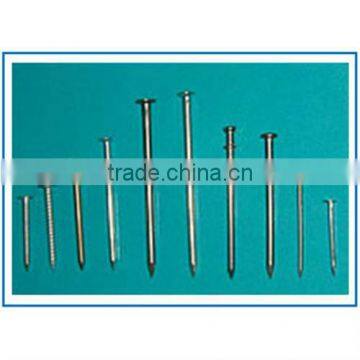 ISO certificate XY Galvanized Iron Wire Nails 2.5" (supplier)