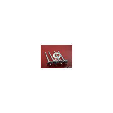 roofing nail