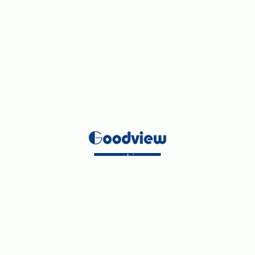 Shanghai Goodview Digital Tech Co., Ltd.