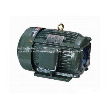 CHYUN TSEH Motor CHYUN TSEH Oil Pump Motor