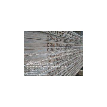 scaffold plank(board)/LVL/film faced plywood/MDF plywood/