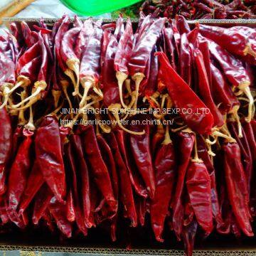 YIDU CHILLI Whole in 25LB Bag for Mexico and USA