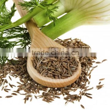 Finest Grade Organic Fennel Seeds From India