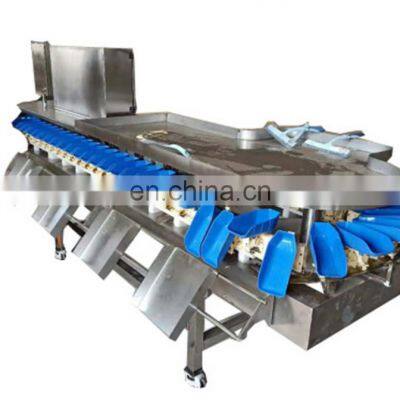 Fruit Grading Machine Vegetable Sorting Machine Fruit Apple Orange Potato Tomato Sorting Machine