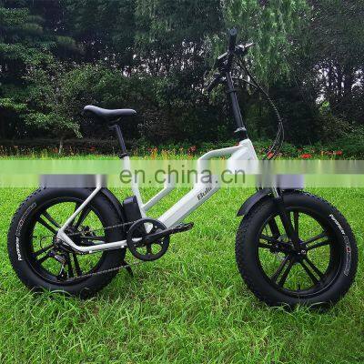 Wholesale 20inch 36v 350W 32KM/H Speed 10.4AH Electric City Bike Fat Tire E-bike photo-4