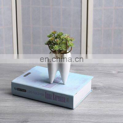 White Ceramic Planter Teeth Mini Desktop Succulent Planter Pots Tooth Flower Pots