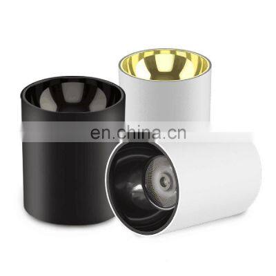 Outdoor Cylinder Black Aluminium Ceiling Surface Led Mounted Downlight Housing