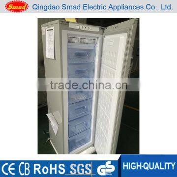 Freestanding compact auto defrost upright deep freezer