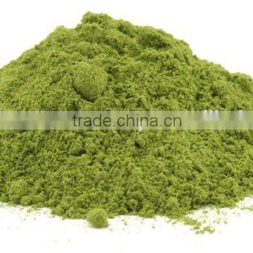 Healthy & Natural Moringa Leaf Powder Bulk Suppliers photo-2