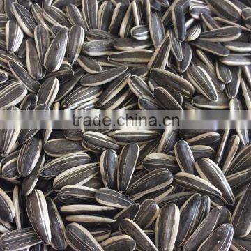 Chinese sunflower seeds ton price