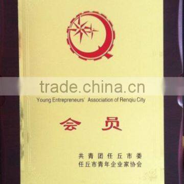 Young Enterprise Association of Rnqiu City