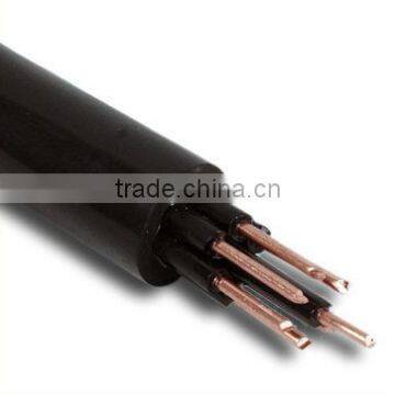 1KV Control Cable with Cu Core, PVC Insulation and Sheath