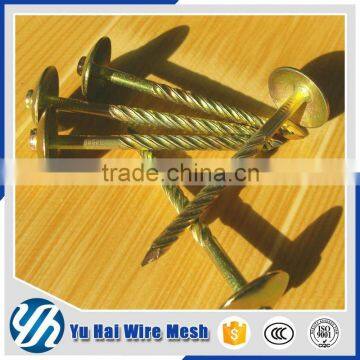Clout Head Galvanized Coil Roofing Nails photo-2