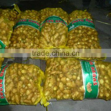 Chinese Fresh Ginger photo-2