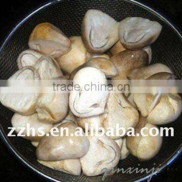 Canned Straw Mushroom with Competive price