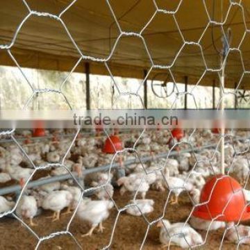 hexagonal decorative chicken wire mesh