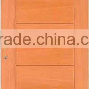 Flush Wooden Door