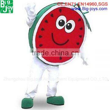 2013 Hot Sell fruit mascot costume watermelon costume