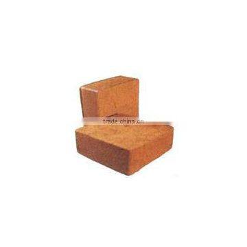 Coco Peat Bricks