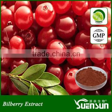 high quality cranberry powder extract anthocyanin extract