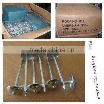 spiral shank zinc plated roofing nails umbrella head roofing nail furniture fasteners mushroom head concrete nail