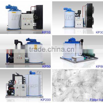 Dry Ice Making Machinery 1 Ton/day With Ice Bin for Fishing From China Supplier Koller photo-5