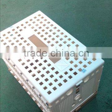 ABS pigeon folding cages flying and training