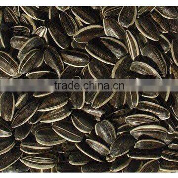 sunflower seeds