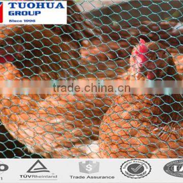 best price chicken mesh made in china