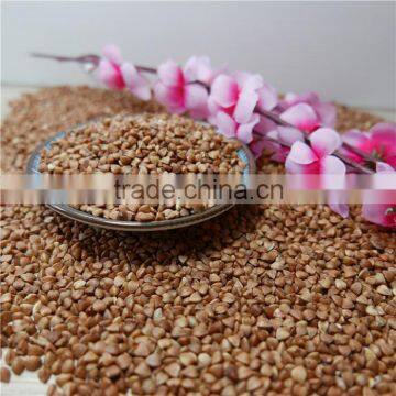 High Quality Roasted Buckwheat Kernel Price photo-5