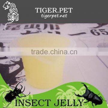 New Products Assorted Pudding Cup Jelly photo-5