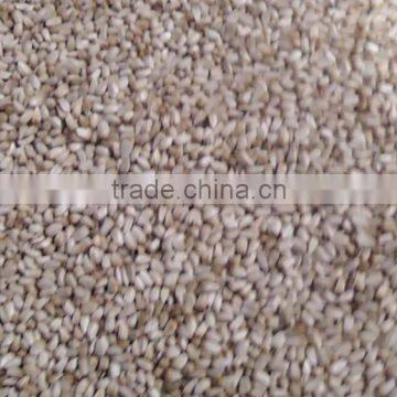 Safflower Seed photo-3