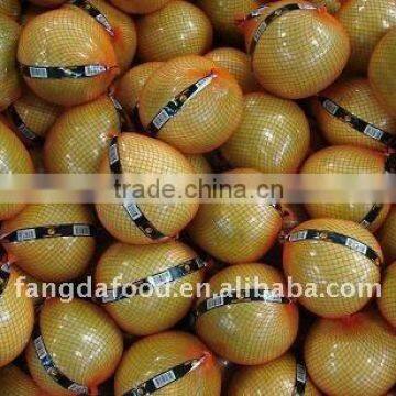 green skin pomelo grapefruit